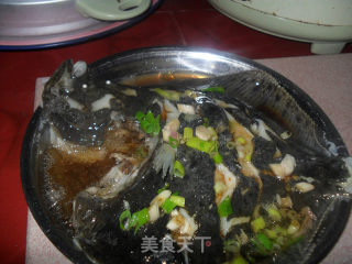清蒸多宝鱼的做法步骤：4