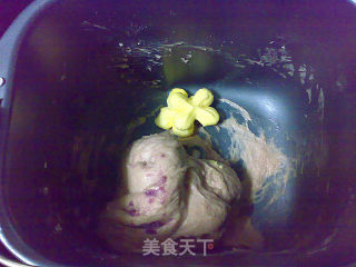 奶香紫薯小餐包的做法步骤：3