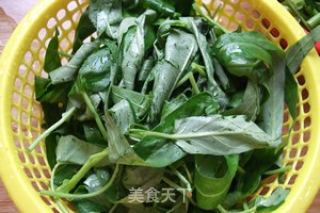 清炒空心菜的做法步骤：2