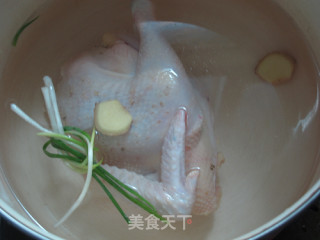 葱油鸡的做法步骤：3