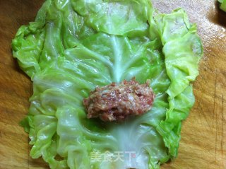 番茄包菜肉卷的做法步骤：6