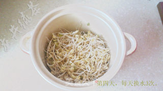 自制放心豆芽的做法步骤：5
