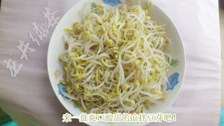 自制放心豆芽的做法步骤：7