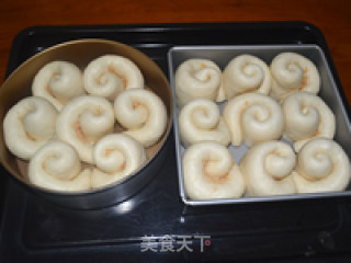 葱香肉松芝士餐包的做法步骤：12