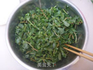 马齿苋蒸菜的做法步骤：3
