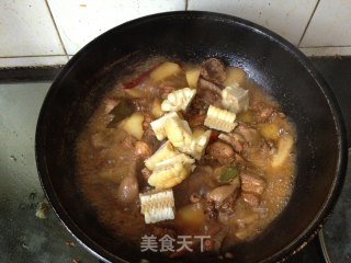 惊艳四座的炖菜——玉米土豆啤酒鸡的做法步骤：26