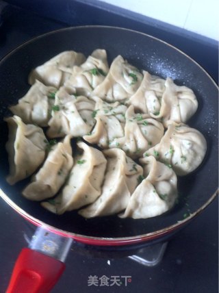 菜肉煎饺的做法步骤：7