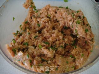 家庭美食“烤莲藕肉饼”的做法步骤：4