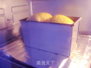 超软浓香——无水全蛋吐司的做法步骤：9