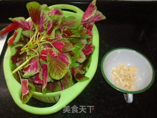 蒜香苋菜的做法步骤：2