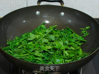 炝炒树仔菜的做法步骤：4