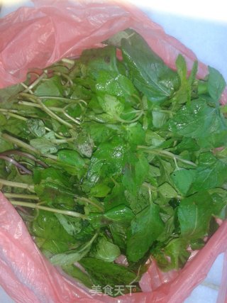 荷香薄荷蒸鸡的做法步骤：1