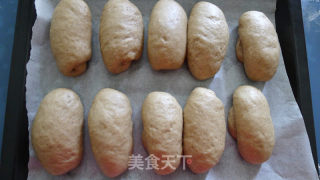 松籽核桃面包的做法步骤：4
