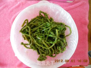 炒野菜（蕨菜）的做法步骤：1