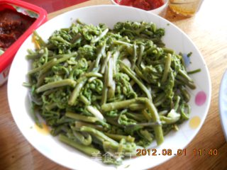 炒野菜（蕨菜）的做法步骤：4