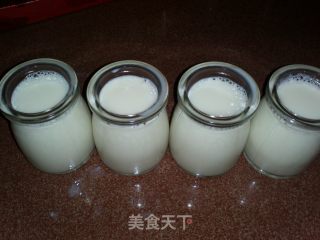 夏天健康消暑佳品--自制老酸奶的做法步骤：4