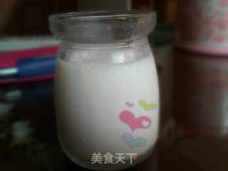 夏天健康消暑佳品--自制老酸奶的做法步骤：8