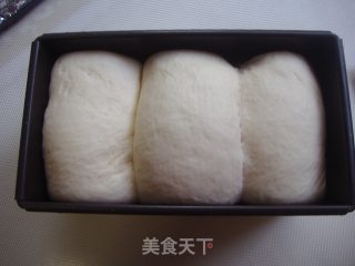 全奶白吐司的做法步骤：11