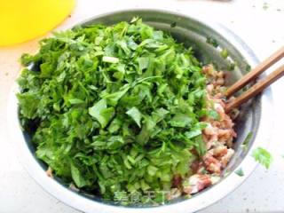 【香芹迷你小包子】保留全部营养！的做法步骤：4