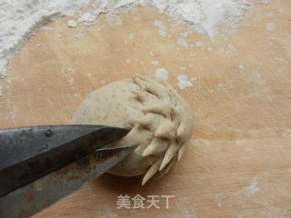 小刺猬豆沙包的做法步骤：11