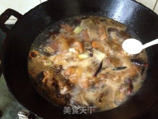 美味农家菜——玉米炖猪手的做法步骤：10