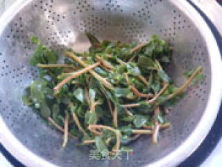 泡椒马齿苋的做法步骤：15