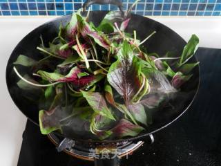 蒜蓉苋菜的做法步骤：4