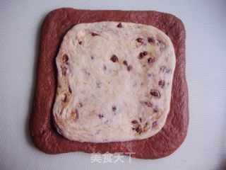可可牛奶双色吐司的做法步骤：11
