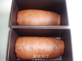 可可牛奶双色吐司的做法步骤：12