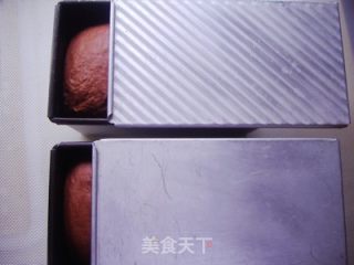 可可牛奶双色吐司的做法步骤：14