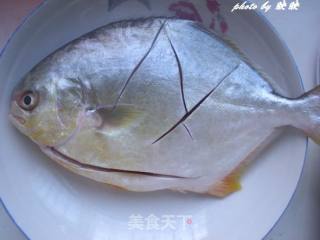 黄豆焖鲳鱼的做法步骤：3