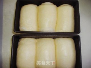 堪比北海道，松软奶香十足——烫种鲜奶油吐司的做法步骤：12