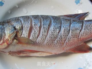 葱油清蒸鲈鱼的做法步骤：2
