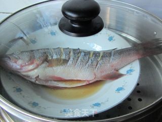 葱油清蒸鲈鱼的做法步骤：5