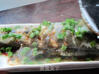 葱油清蒸鲈鱼的做法步骤：9