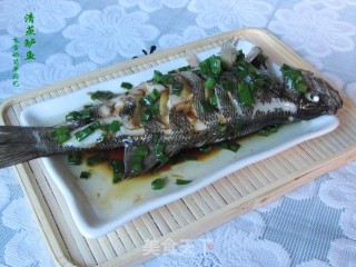 葱油清蒸鲈鱼的做法步骤：10