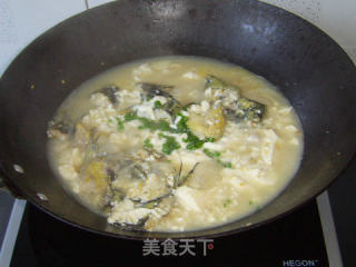 汪刺鱼豆腐汤的做法步骤：10
