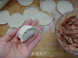 大自然的馈赠---山蘑猪肉饺的做法步骤：11