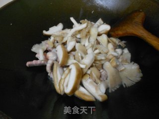 鸡肉炒双菇的做法步骤：4
