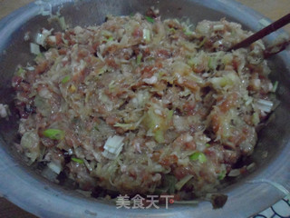 贴秋膘啦——猪肉葫芦蒸饺的做法步骤：7