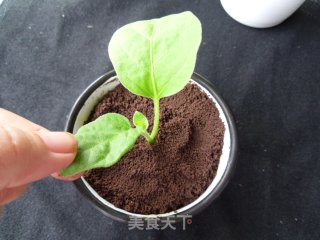 新时尚——盆栽冰淇淋的做法步骤：7