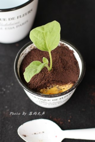 新时尚——盆栽冰淇淋的做法步骤：9