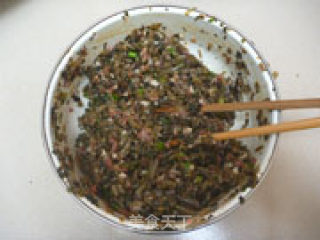 马齿苋鲜肉包的做法步骤：7