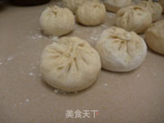 马齿苋鲜肉包的做法步骤：12