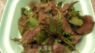 紫苏焖鸭的做法步骤：3