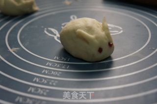 小兔子芝麻包的做法步骤：10