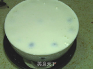 葡萄冻芝士的做法步骤：15