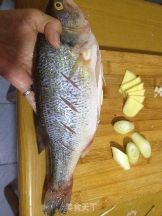 红烧鲈鱼的做法步骤：3