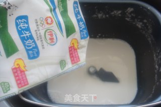 再战面包机【纯奶吐司】的做法步骤：1