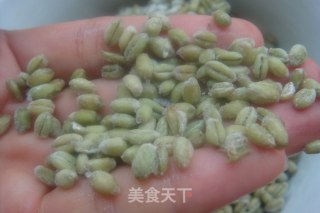 小麦当菜吃，特色小炒-【小炒青麦仁】的做法步骤：1